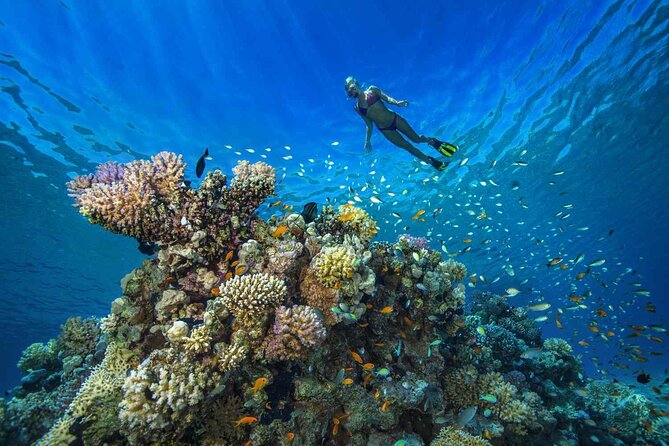 1 Hour Private Snorkeling Activity In Montego Bay - Leaving your resort for Montego Bay’s water