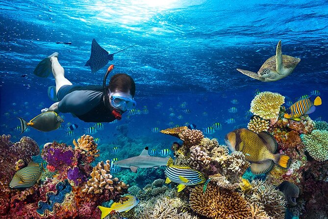 1 Hour Private Snorkeling Activity In Montego Bay - The short boat ride to the reef