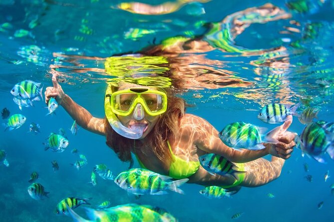 1 Hour Private Snorkeling Activity In Montego Bay - What you see beneath Montego Bay