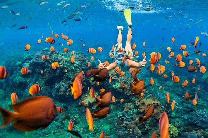1 Hour Private Snorkeling Activity In Montego Bay - Making the most of a one-hour session