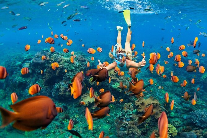 1 Hour Private Snorkeling Activity In Montego Bay - What the private format is really worth