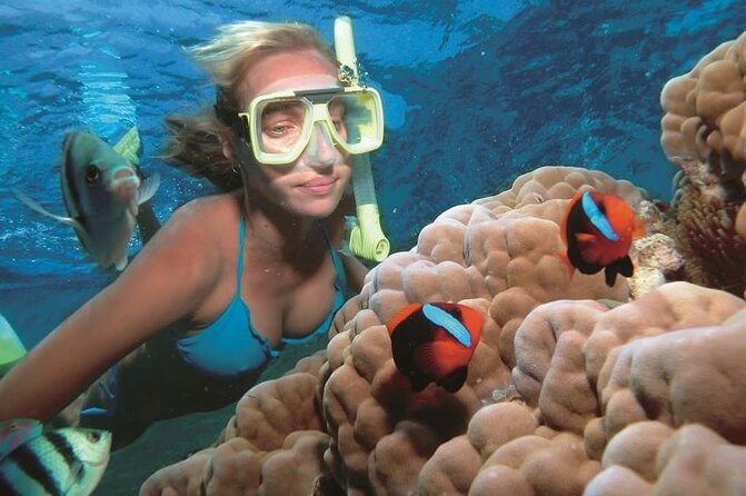 1 Hour Private Snorkeling Activity In Montego Bay - Weather, timing, and cancellation details