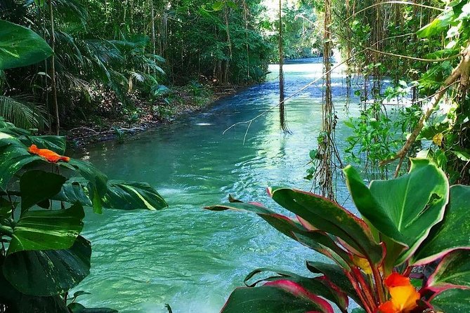 #1 Martha brea bamboo rafting - Leaving Montego Bay for the Martha Brae River