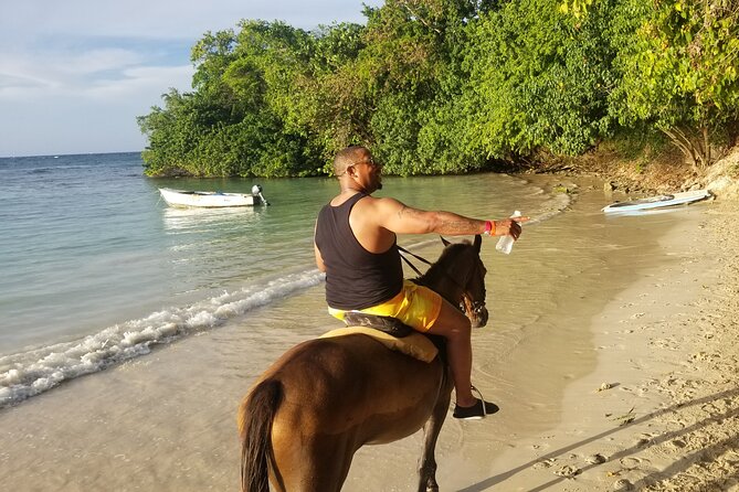 3. Dunn's River Falls Ocho Rios Private FunDay Tour - Should you book Dunn’s River Falls Ocho Rios Private FunDay Tour?