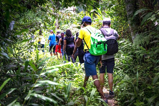 4-Hours Bike, Hike & Waterfall Tour in Blue Mountain with Lunch and Pick Up - Key Points Before You Book