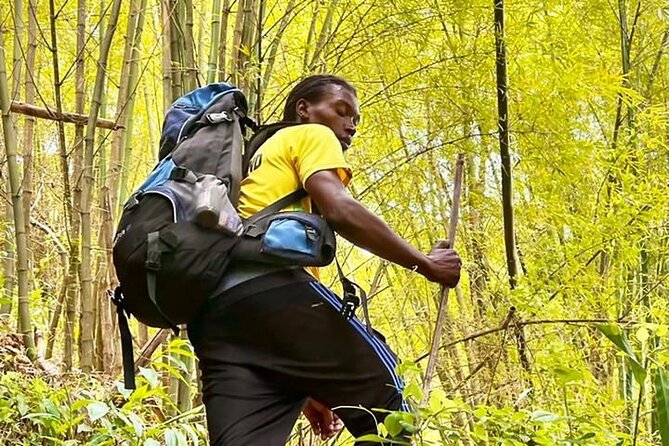 4-Hours Bike, Hike & Waterfall Tour in Blue Mountain with Lunch and Pick Up - Why This Blue Mountain Combination Is Appealing