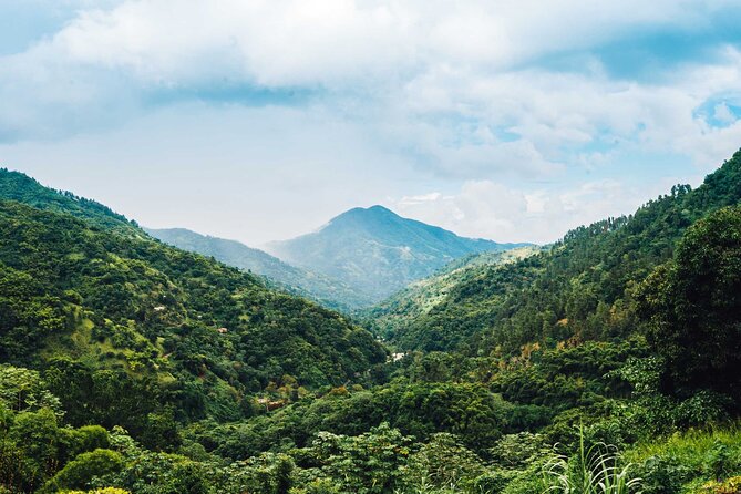 4-Hours Bike, Hike & Waterfall Tour in Blue Mountain with Lunch and Pick Up - The Final Ride to a Secluded Waterfall