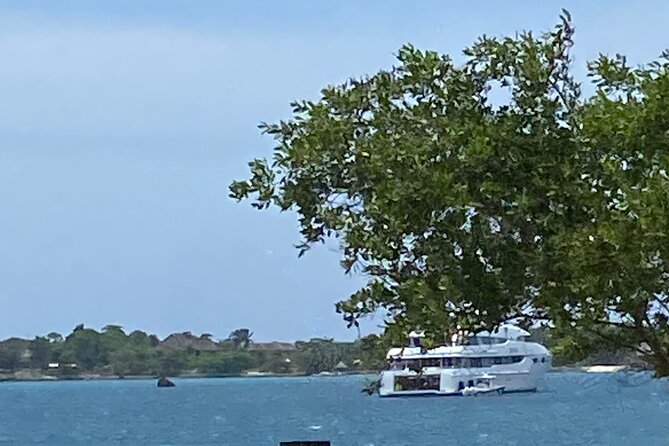 4 Hours Party Boat Catamaran Cruise in Negril - Lunch, drinks, and music on the water