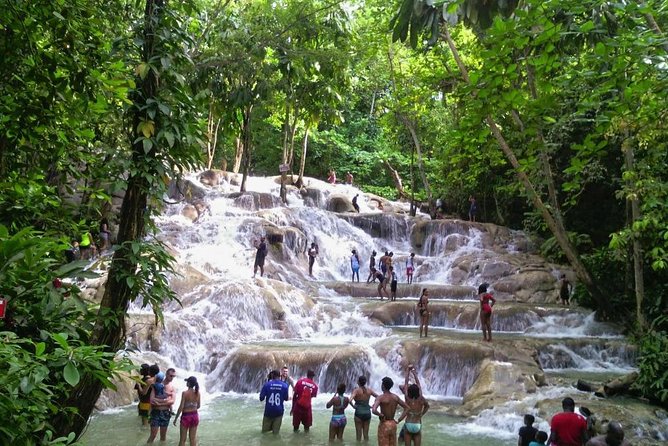 6. Bob Marley 9miles/Dunn's River Private Tour(420 Friendly)final resting place - Booking, weather, and cancellation details