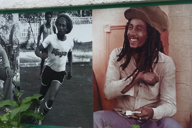 6. Bob Marley 9miles/Dunn's River Private Tour(420 Friendly)final resting place - Dunn’s River Falls after lunch
