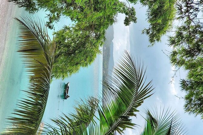 A "Private" Airport Transfer to Grand Palladium Resort - The 45-minute ride to Point Lucea