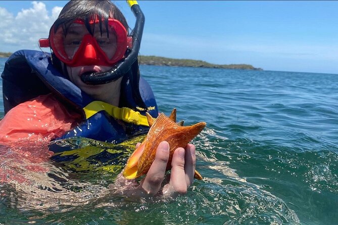 Adventurous-Snorkeling With Sightseeing of Montego Bay - Who will enjoy this Montego Bay outing