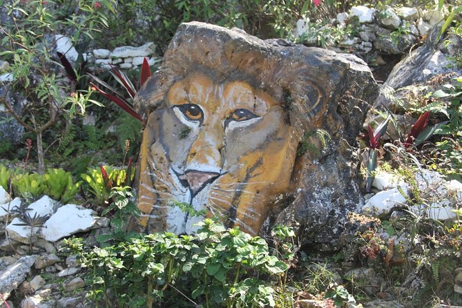 Ahhh Ras Natango Gallery and Garden Private Transfer - Why this garden feels different from a standard attraction