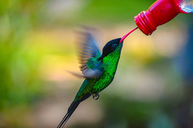 Ahhh Ras Natango Gallery and Garden Private Transfer - The story behind the garden’s levels