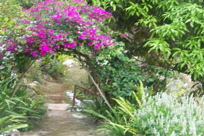Ahhh Ras Natango Gallery and Garden Private Transfer - Inside the gallery with Ras Natango, Tamika, and Ayale