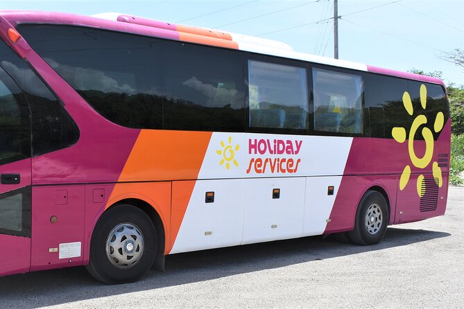 Airport Shuttle from Montego Bay (MBJ) to Hotel - Who should book this Montego Bay shuttle