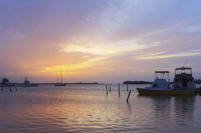 An Evening on the Lagoon: Martha Rafting, Luminous Lagoon and Falmouth Highlight - Who Gets the Most From This Experience