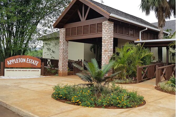 Appleton Estate Rum Factory And YS Falls Inclusive Tours From Montego Bay - Appleton Estate and the cane-to-rum process