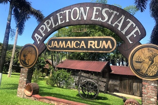 Appleton Estate Rum Factory And YS Falls Inclusive Tours From Montego Bay - YS Falls: seven levels of water and swimming pools