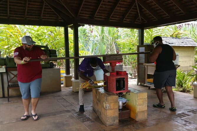 Appleton Estate Rum Tour and Pelican Bar Customize Tour - The bamboo road photo stop