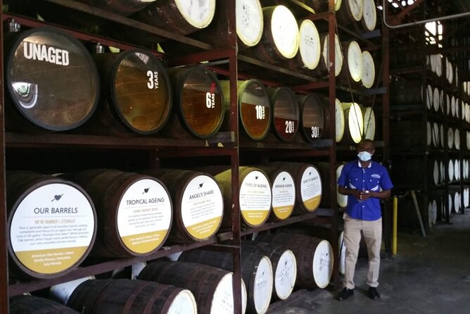 Appleton Estate Rum Tour and Pelican Bar Customize Tour - What the private format changes
