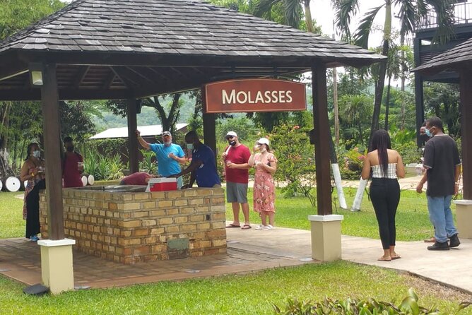 Appleton Estate Rum Tour and Pelican Bar Customize Tour - Who should book this Jamaica day?