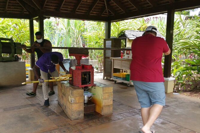 Appleton Estate Rum Tour and Pelican Bar Customize Tour - Inside Appleton Estate’s rum-making story