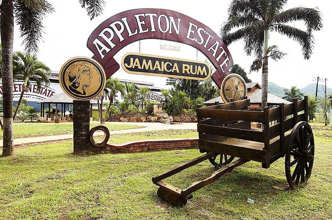 Appleton Estate Rum Tour and Tasting from Negril - Copper pot stills and the making of Appleton rum