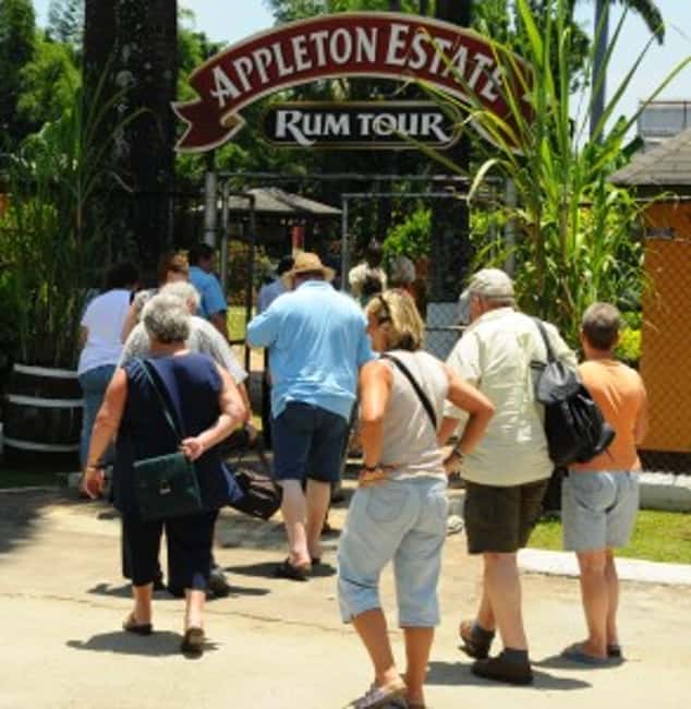 Appleton Estate Rum Tour: Full Day from Montego Bay - Sugarcane, old tools, and the first part of the production story