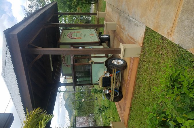 Appleton Estate Rum Tour [Transportation services] - Who Will Enjoy This Best?