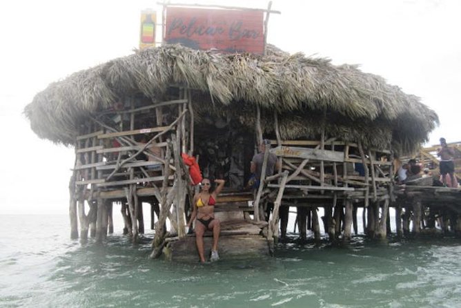 Appleton Estate Rum, YS Falls, Black River Safari / Floyd's Pelican Bar Tour - Why this private tour works well