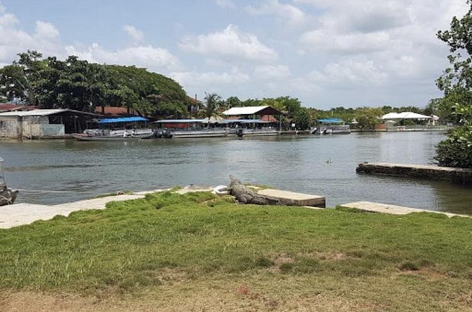 Appleton Estate Rum, YS Falls, Black River Safari / Floyd's Pelican Bar Tour - Reaching Floyd’s Pelican Bar offshore