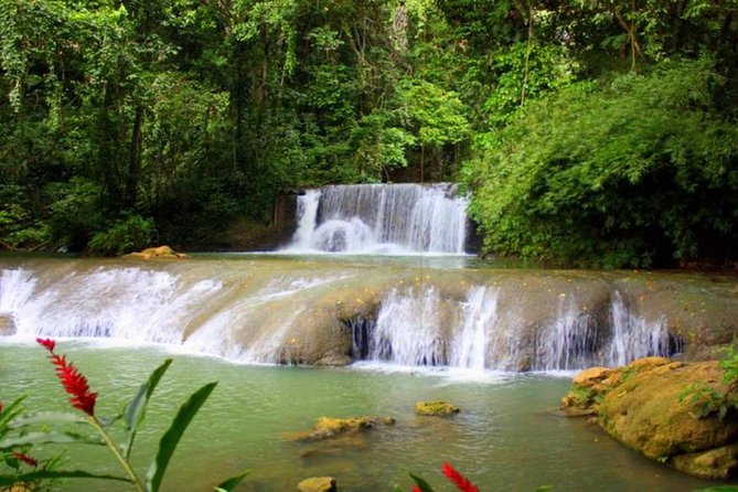 Appleton Estate, Ys Falls and Black River Safari Private Tour - What this private Jamaica day is really like