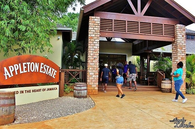 Appleton Estate, Ys Falls and Black River Safari Private Tour - Black River Safari: an hour on the water