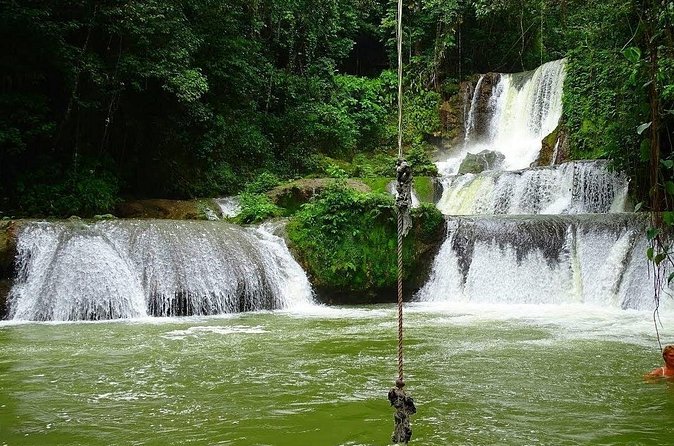Appleton Estate, Ys Falls and Black River Safari Private Tour - Is $242.06 per person a fair price?