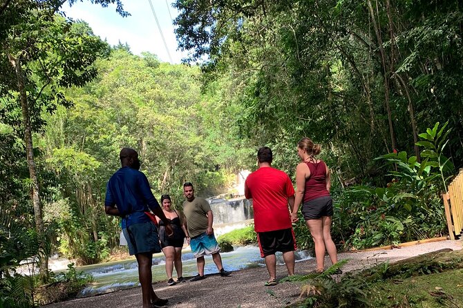 Appleton estate,YS Falls,Black River Safari,Pelican Bar(any 3of4) - Why this private south-coast trip works