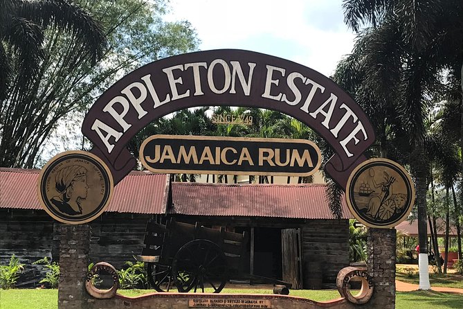 Appleton Rum Factory, YS Falls, and Reggae Horseback Ride & Swim Combo Tour - Quick facts that matter before you book