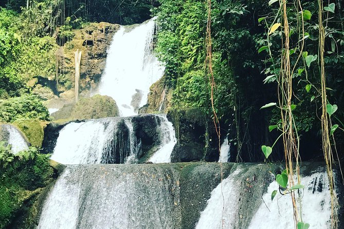 Appleton Rum Factory, Ys Falls, Black River Safari, Floyd’s Pelican Bar - YS Falls and the 45-minute nature stop