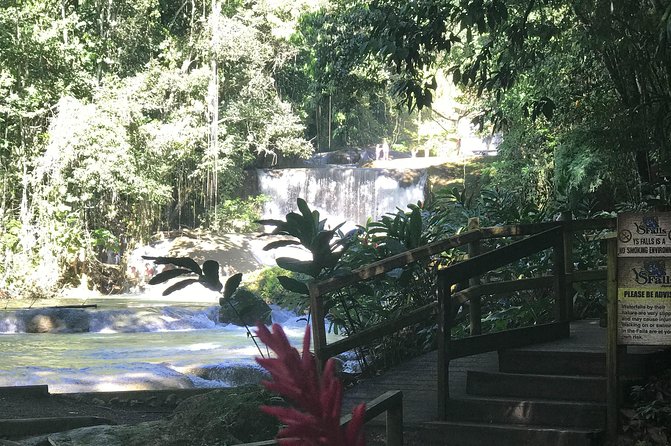Appleton Rum Factory, Ys Falls, Black River Safari, Floyd’s Pelican Bar - Black River by boat