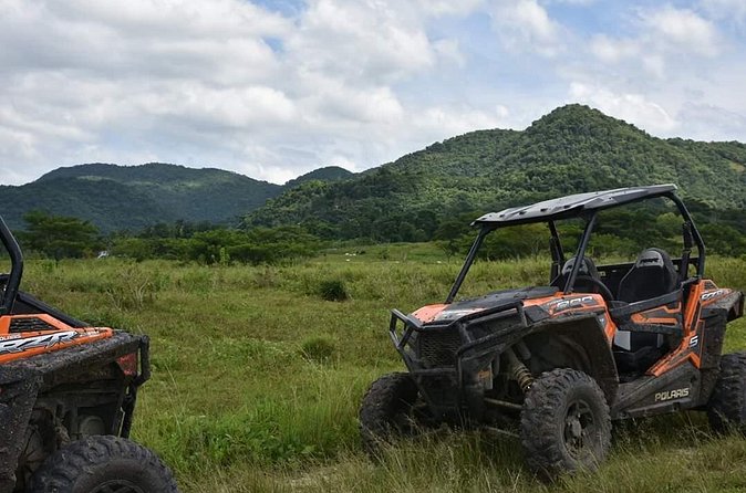 ATV Experience, cultural and social tour - Fruit, sugar cane, and Ital food