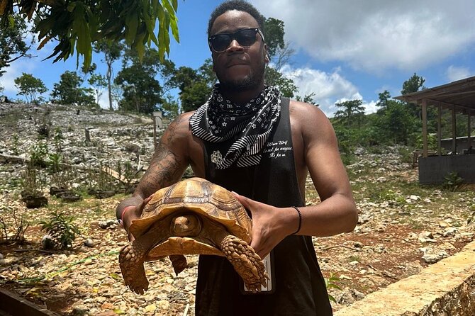 ATV Tour from Montego Bay with private transportation - Leaving Montego Bay in a private vehicle