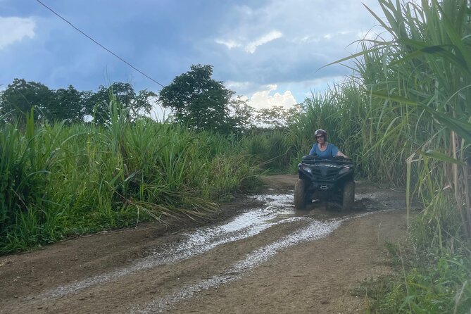 ATV, Zipline, Horseback, Bamboo Rafting and Rick’s Cafe - Lunch and the $70 question
