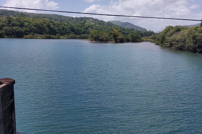 Bamboo Rafting and Boston Jerk Centre Tour in Portland Jamaica - Who will enjoy this tour most?