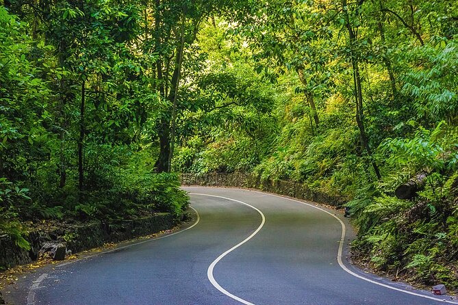 Bamboo rafting and Horseback ridding - Two Jamaican pleasures in one day
