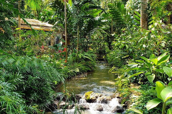 Bamboo rafting and Horseback ridding - Horseback riding beside the Caribbean Ocean