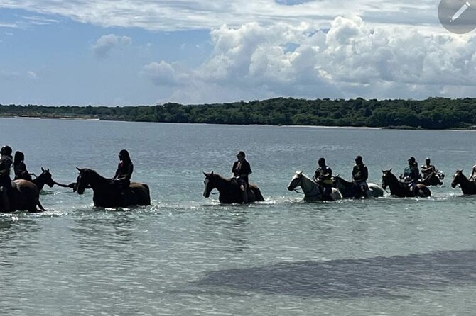 Bamboo Rafting and HorseBack Riding Excursion in OchoRios Jamaica - Key points at a glance