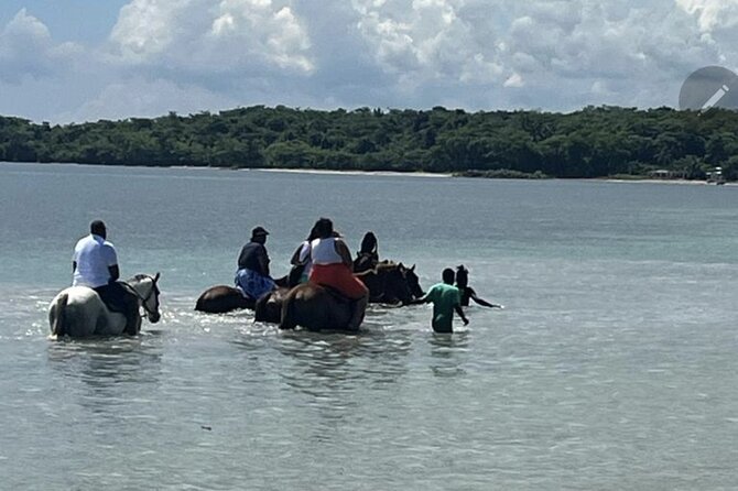 Bamboo Rafting and HorseBack Riding Excursion in OchoRios Jamaica - A slow hour on a handcrafted bamboo raft