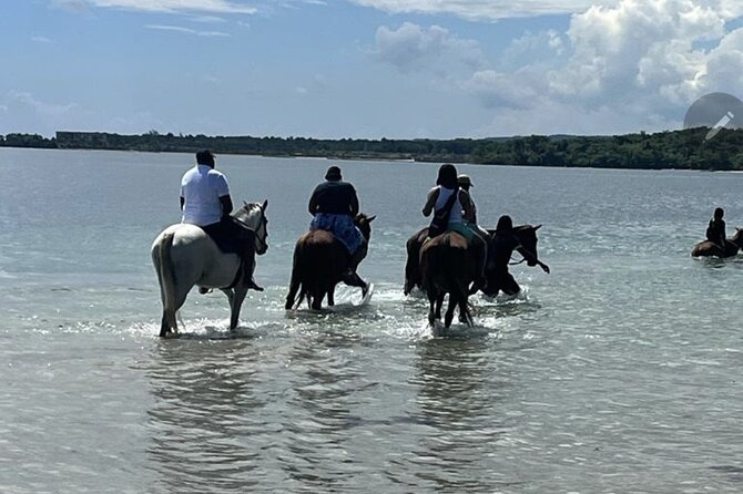Bamboo Rafting and HorseBack Riding Excursion in OchoRios Jamaica - Starting from Ocho Rios hotels or the cruise port