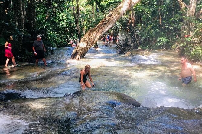 Bamboo Rafting, Dunn's River Falls and Horseback Riding Private Tour - How the Price Measures Up