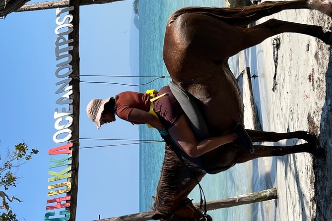 Bamboo Rafting & Horseback -dunns river Transportation Included - Transportation, timing, and group size